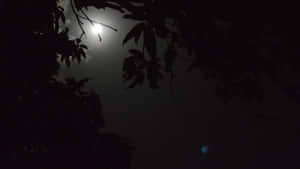 月光穿過樹枝，夜空中有一顆遙遠的藍色行星。 — 黑夜 壁紙