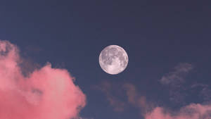 滿月在暮色中從粉紅色雲層上方升起。 — 月光 壁紙