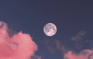 滿月在暮色天空中從粉紅色雲朵上方升起。 — 月光 壁紙