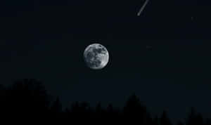 滿月下的森林與流星劃過夜空 — 月夜星空 壁紙