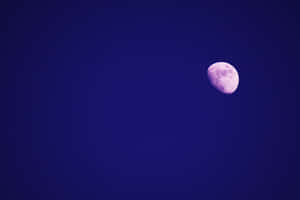 在深藍色夜空中發光的紫色月亮。 — 月光 壁紙
