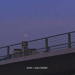 黃昏時城市欄杆上的粉紅月亮，附有文字 wish i was better