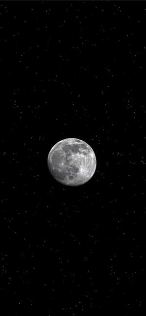 滿月帶有隕石坑，襯托著繁星點點的夜空 — 月光 壁紙