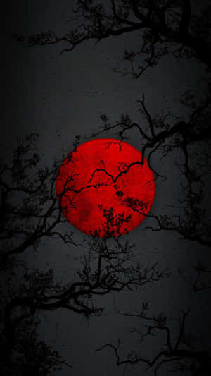 夜晚被光禿樹枝框住的紅色滿月。 — 日式粉紅 壁紙