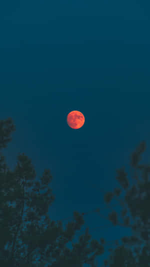 一顆發光的橙色月亮在深藍綠色夜空背景下，從黑暗的樹木剪影上方升起。 — 高畫質月亮 壁紙