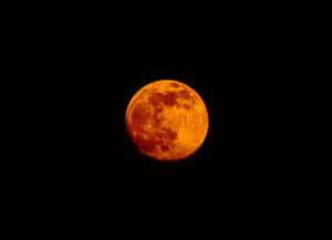 在黑色夜空中發光的橙色滿月。 — 月光 壁紙