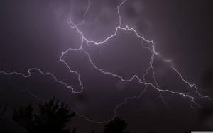 強烈的閃電照亮了暴風雨的夜空，映襯出黑暗的樹木剪影。 — 閃電 壁紙