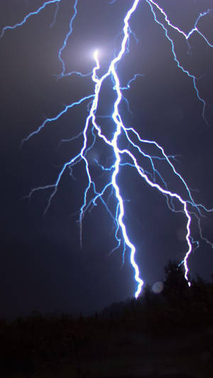 強烈的藍色閃電照亮了暴風雨夜空中黑暗的樹木。 — 閃電麥坤 壁紙