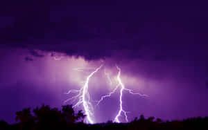 閃電劃過紫色暴風雨天空，樹木剪影清晰可見。 — 閃電 壁紙