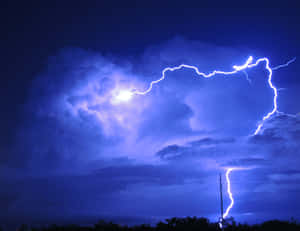強烈的閃電照亮了黑暗樹木上方暴風雨的夜空。 — 閃電 壁紙
