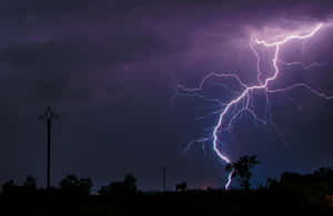 紫色閃電照亮了暴風雨的夜空，下方是黑暗的樹木和電線。 — 閃電 壁紙