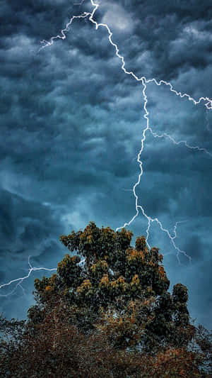 一棵樹在暴風雨的天空中剪影，伴隨著明亮的閃電。 — 閃電 壁紙