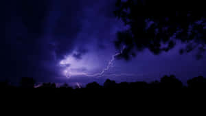 閃電在暴風雨的紫色夜空上閃爍，映襯著樹木的剪影。 — 閃電 壁紙