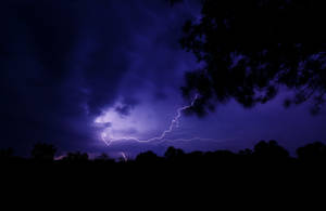 閃電劃過深紫色暴風雨天空，映襯出樹木的剪影。 — 光線 壁紙