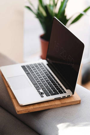 灰色沙發上的木托盤上的銀色筆記型電腦，背景有綠色植物。 — MacBook Air 壁紙