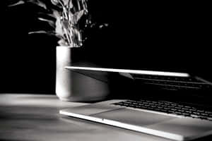 簡約書桌上的時尚筆記型電腦和盆栽（黑白）。 — MacBook Air 壁紙