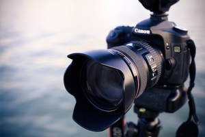 近距離拍攝水邊三腳架上的Canon DSLR相機。 — 攝影 壁紙