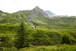 一間小木屋獨自坐落在鬱鬱蔥蔥的綠色山谷中，背景是岩石山峰。 — 房屋 壁紙