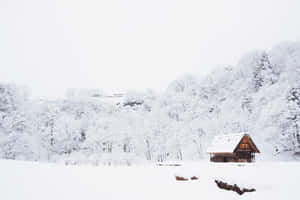雪地冬日森林中的小木屋，周圍是白雪覆蓋的樹木。 — 冬季風景 壁紙