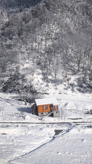 一間小小的橙色小屋獨自矗立在白雪覆蓋的森林山谷中，在晴朗的冬日裡。 — 冬季 壁紙