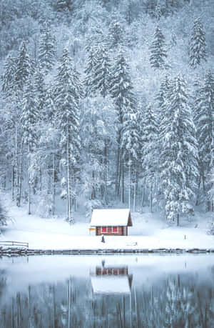 雪林中的木屋，旁邊是平靜的湖面，倒映著樹木。 — 冬季風景 壁紙
