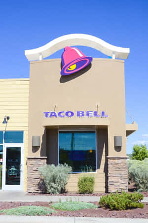 Taco Bell餐廳外觀，帶有粉紅色鐘形標誌和清澈的藍天。 — 塔可 壁紙