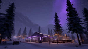 在星空下，夜晚的雪地森林中，一間現代小屋散發著紫色霓虹燈光。 — 星星 壁紙