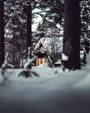 冬季森林中積雪覆蓋的小屋，窗戶透出溫暖的燈光。 — 冬季風景 壁紙
