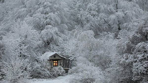 被雪覆蓋的小屋，冬日的森林中窗戶透出溫暖的光芒。 — 冬季風景 壁紙