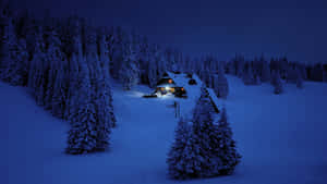 白雪覆蓋的小屋在深藍色冬天下，在松樹間溫暖地發光。 — 冬季風景 壁紙