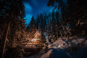 冬季森林中積雪覆蓋的小屋，夜晚散發溫暖光芒。 — 冬季 壁紙