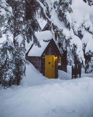 冬日森林中一間被雪覆蓋的小屋，閃爍著黃色的門。 — 4:5 壁紙