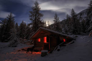 雪覆蓋的小屋在夜晚的森林中發出溫暖的光芒