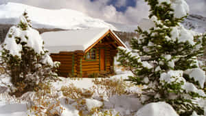 山區冬季森林中積雪的木屋，周圍有常青樹。 — 冬季風景 壁紙