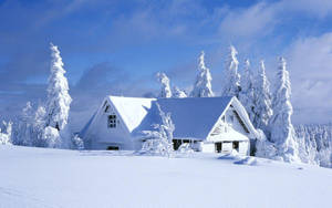 白色小屋被白雪覆蓋的樹木環繞，上方是清澈的藍天。 — 冬季風景 壁紙