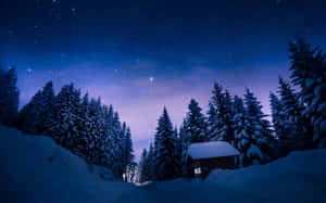 雪覆蓋的小屋在冬季森林中，星空下 — 冬季桌面 壁紙