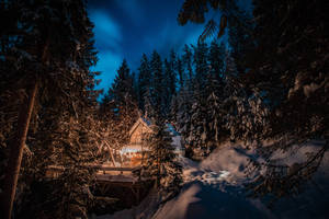 雪覆蓋的小屋在冬夜森林中散發溫暖燈光。
