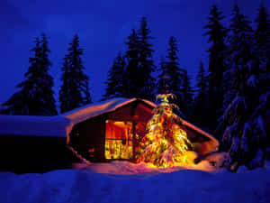舒適的小屋，在雪地冬季森林中夜晚有發光的聖誕樹。 — 聖誕節 壁紙