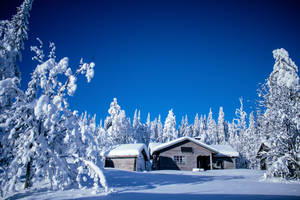 冬日森林中白雪覆蓋的小屋，上方是清澈湛藍的天空。