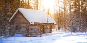 雪覆蓋的木屋，在寧靜的冬季森林中，金色時刻。 — 雪 壁紙