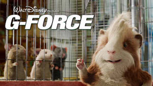 來自迪士尼電影《G-Force》的籠中動畫天竺鼠。 — G力特攻隊 壁紙