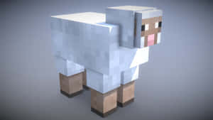 一隻方塊狀白色綿羊，有棕色腿，Minecraft風格。 — 我的世界 壁紙