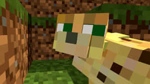 一隻從草洞中探頭的Minecraft貓咪。 — 可愛 Minecraft 壁紙