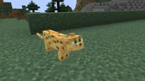 一隻像素化的橙色貓在Minecraft遊戲世界中的草地上行走。 — 我的世界 壁紙
