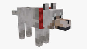 一隻戴著紅色項圈的灰色Minecraft狼。 — 我的世界 壁紙