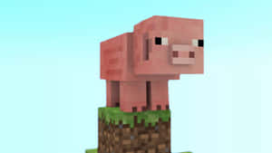 像素風格的粉紅色Minecraft豬站在草地塊上，背景是藍天。 — 豬 壁紙