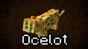 來自Minecraft的像素風虎貓，附有文字標籤 — 可愛 Minecraft 壁紙