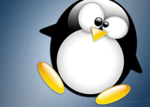 一隻卡通企鵝，有大眼睛和黃色腳，在藍色背景上。 — 企鵝 GIF 壁紙