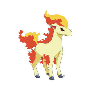動漫風格的火屬性寶可夢，擁有火焰鬃毛、尾巴和蹄子。 — 卡通 壁紙