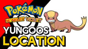 Yungoos Pokémon角色與遊戲標題文字。 — 卡通 壁紙